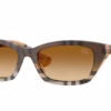 0BE4488 Acetate burberry Sunglasses