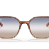 0RB2194 Acetate Sunglasses