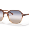 0RB2194 Acetate Unisex Sunglasses