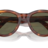 0RB2241 Propionate Sunglasses