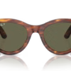 0RB2241 Propionate Unisex Sunglasses img