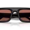 0RB4954 Injected violetSunglasses