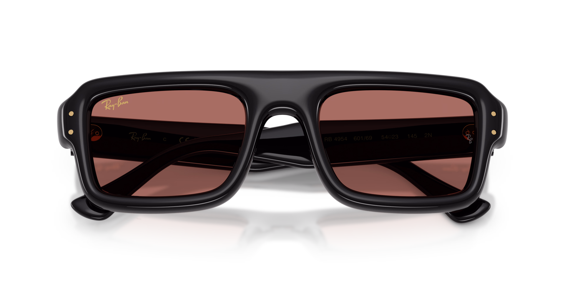 0RB4954 Injected violetSunglasses